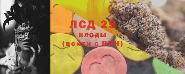 тгк Каменногорск
